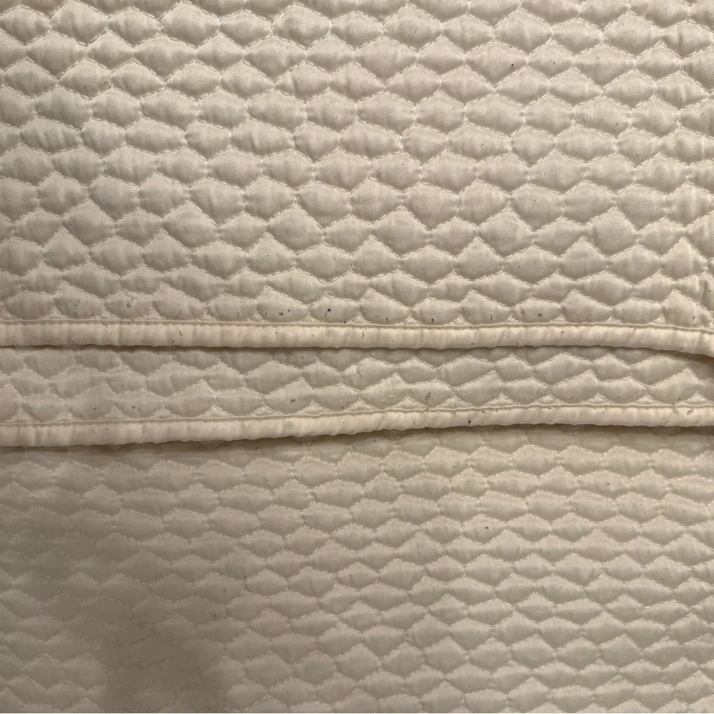 West Elm Cream Silky Quilt Bedding