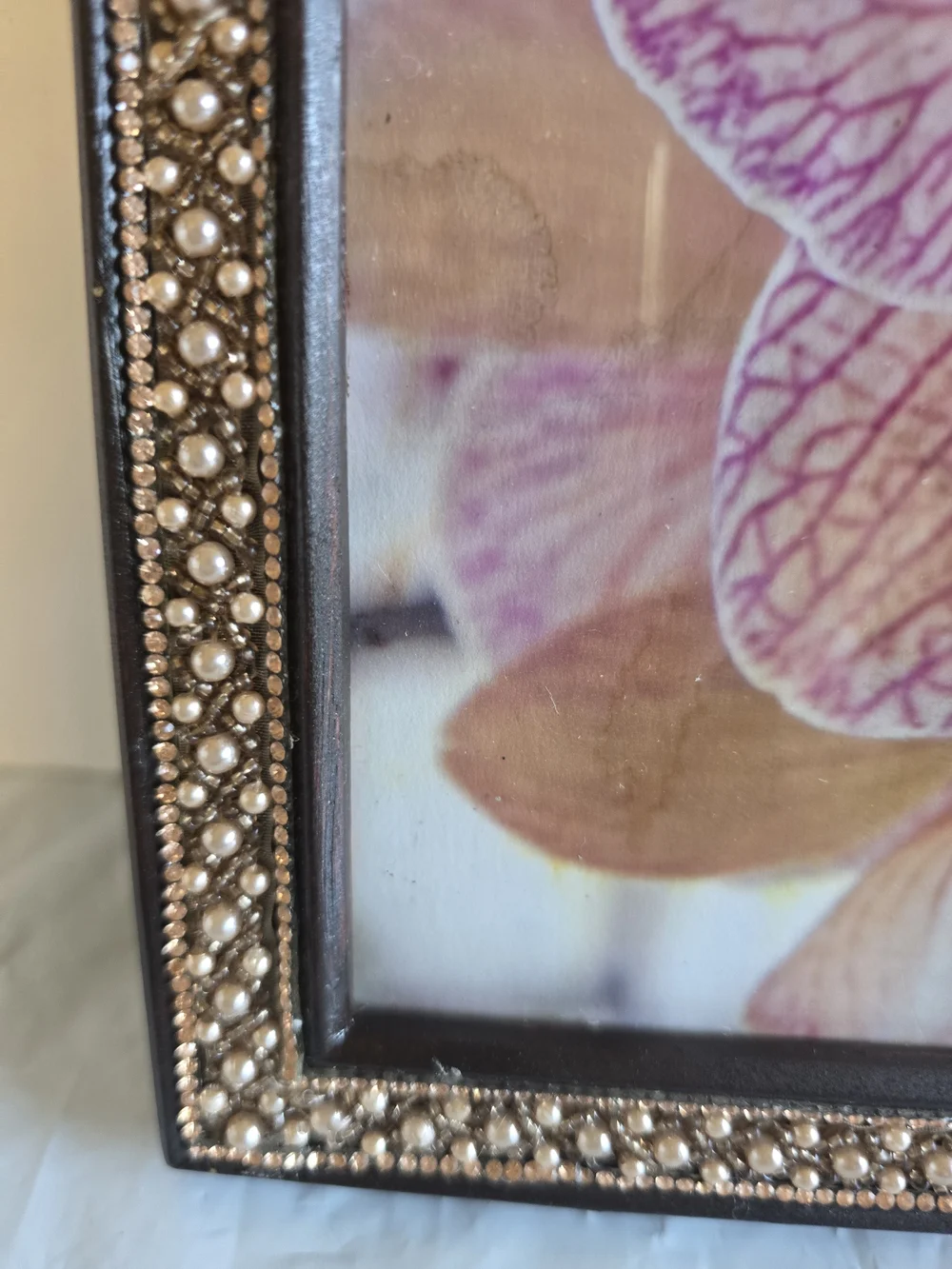 Orchid Floral Wall Art Print  Decorative Home Accent Picture Frame New 8x10 Phot