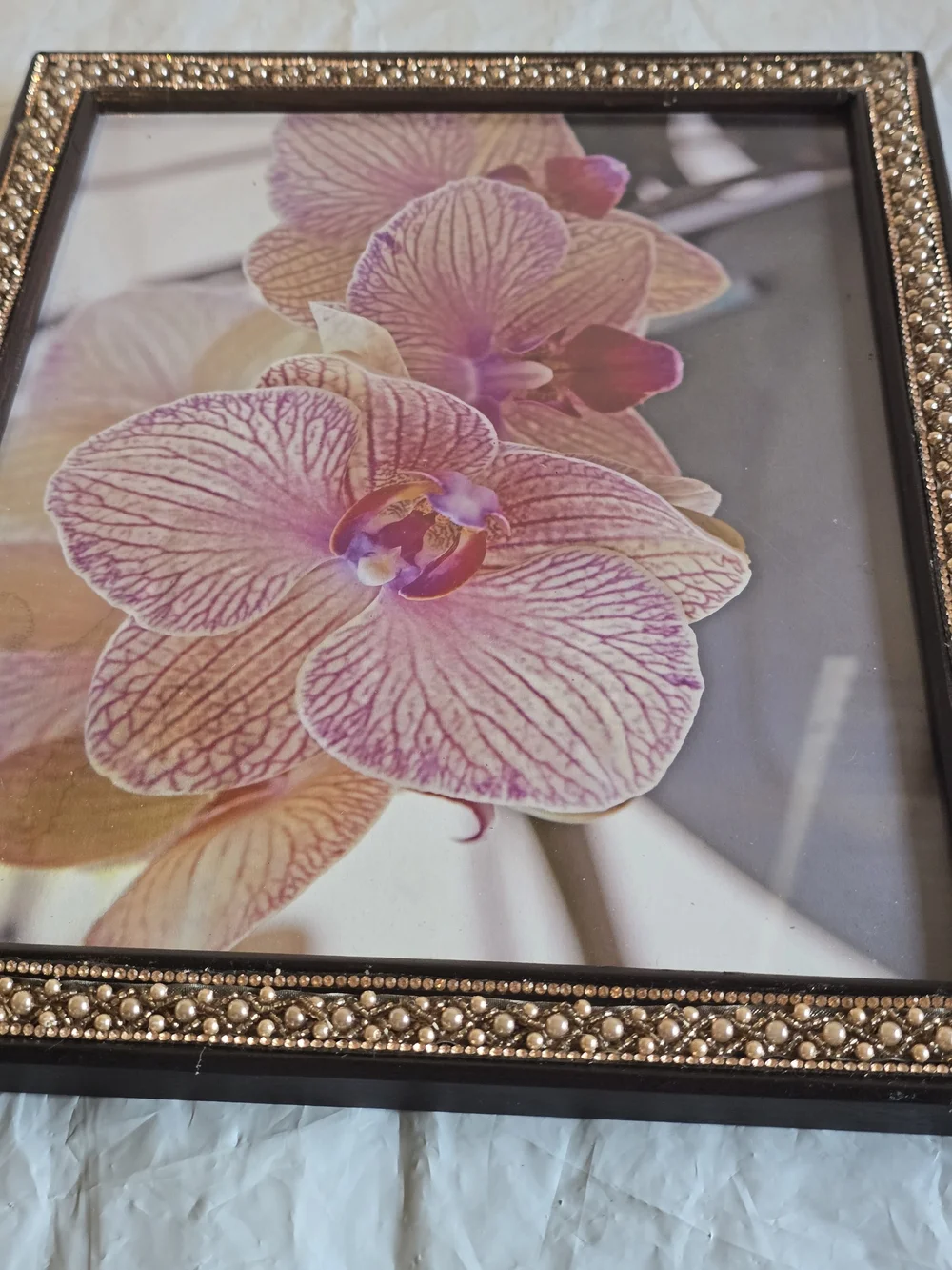Orchid Floral Wall Art Print  Decorative Home Accent Picture Frame New 8x10 Phot